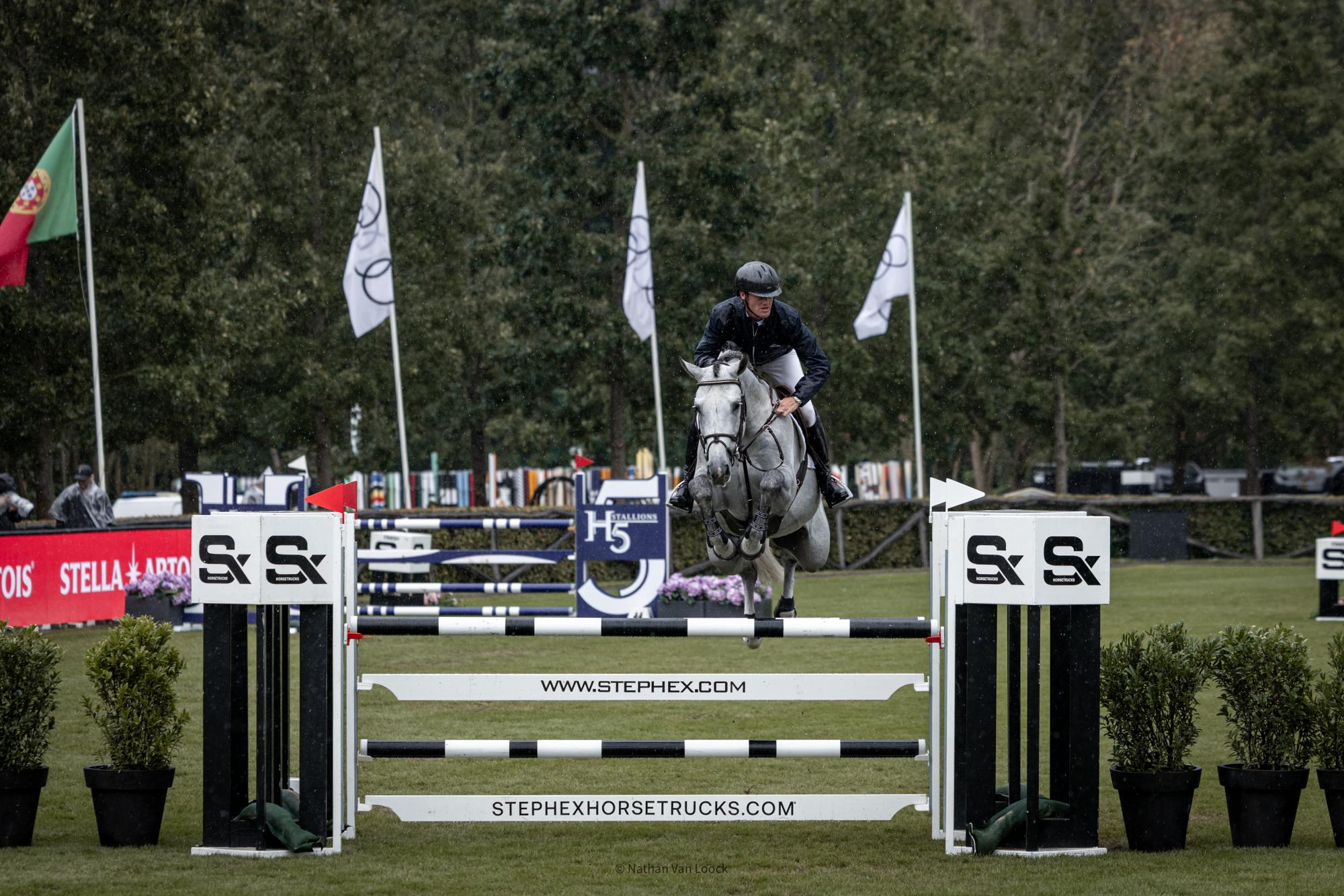 Strong performances and promising young horses at the Brussels Stephex Masters