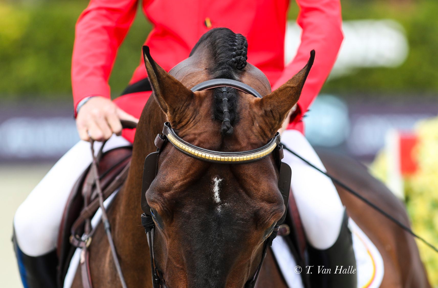 Zilver in de Longines FEI Nations Cup Final